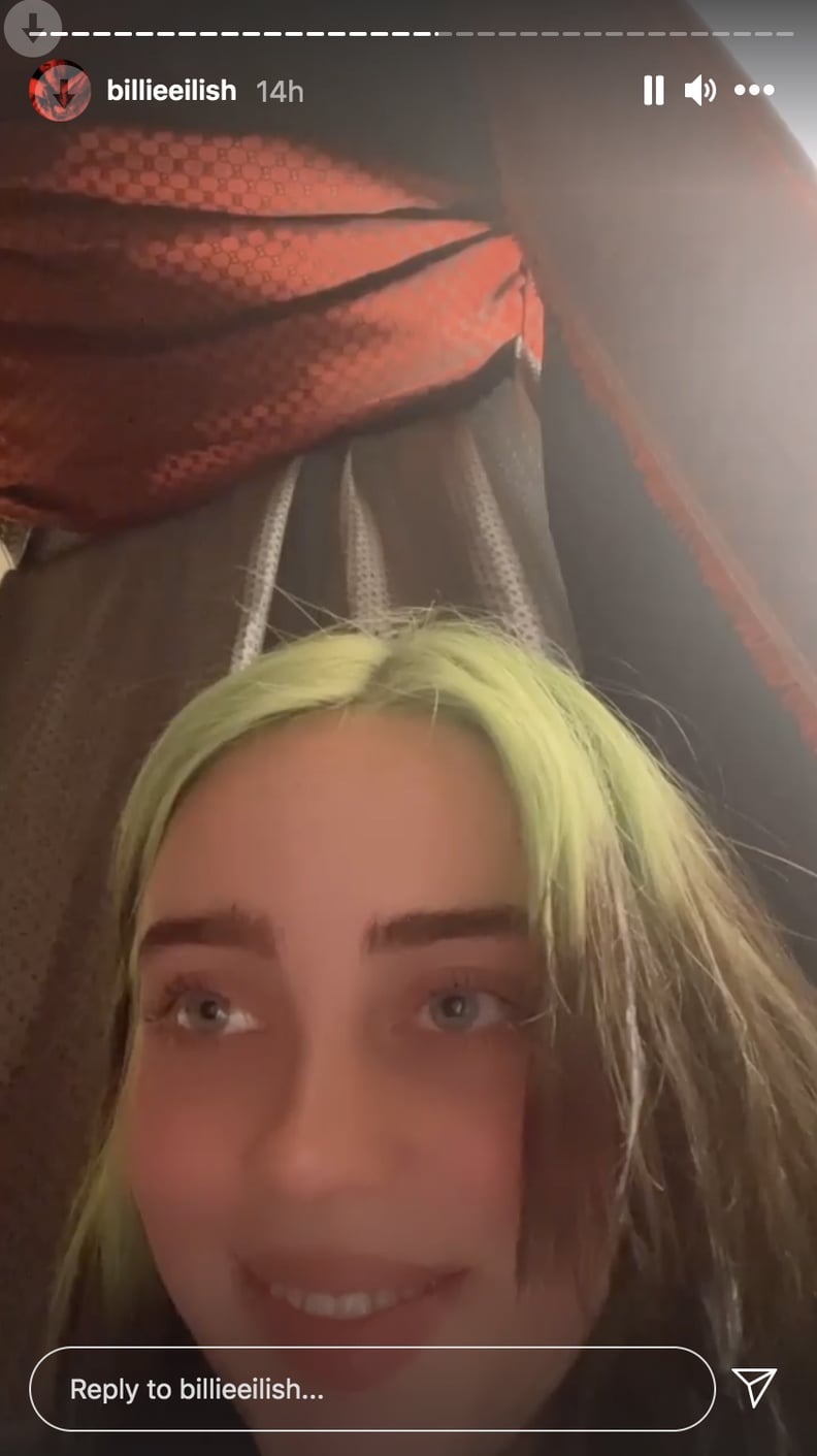 Billie Accepting Her Fate as a Dog Mom