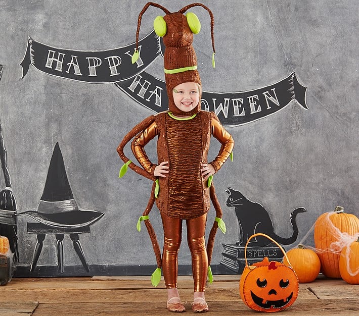 Pottery Barn Kids Stick Bug Light Up Costume You Re Going To