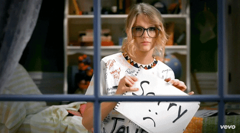 "You Belong With Me"