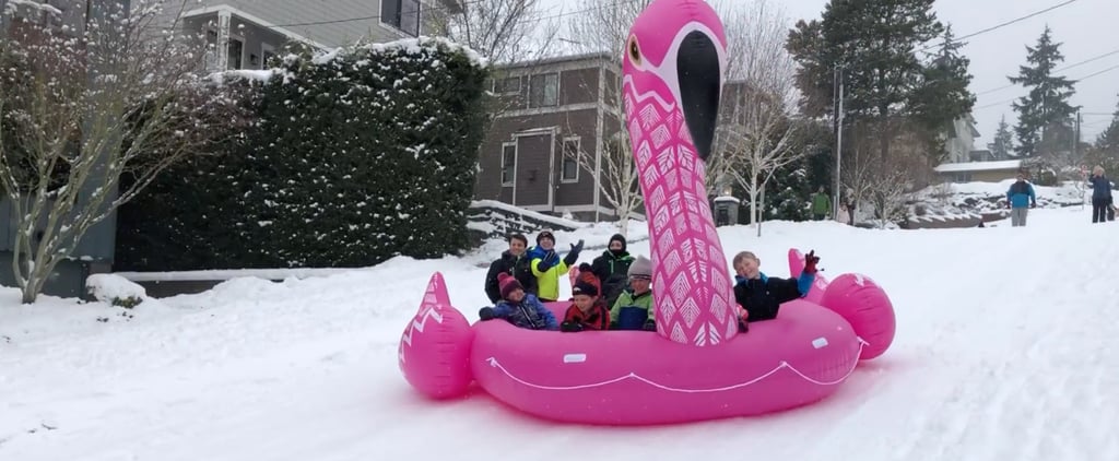 Kids Snow Sledding in Flamingo Pool Float Video