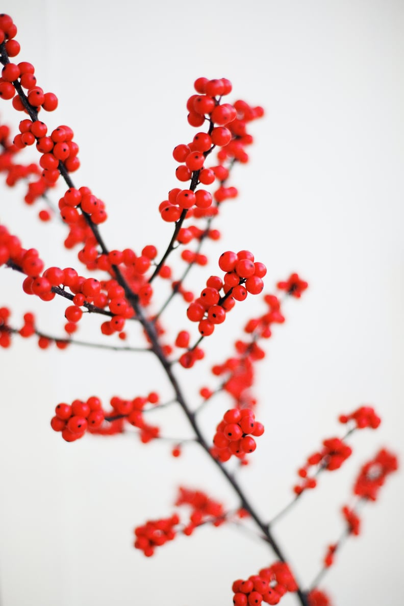 iPhone Christmas Wallpaper: Holly Berry