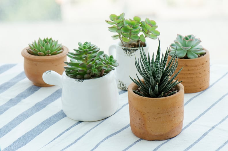 A Self-Watering Planter