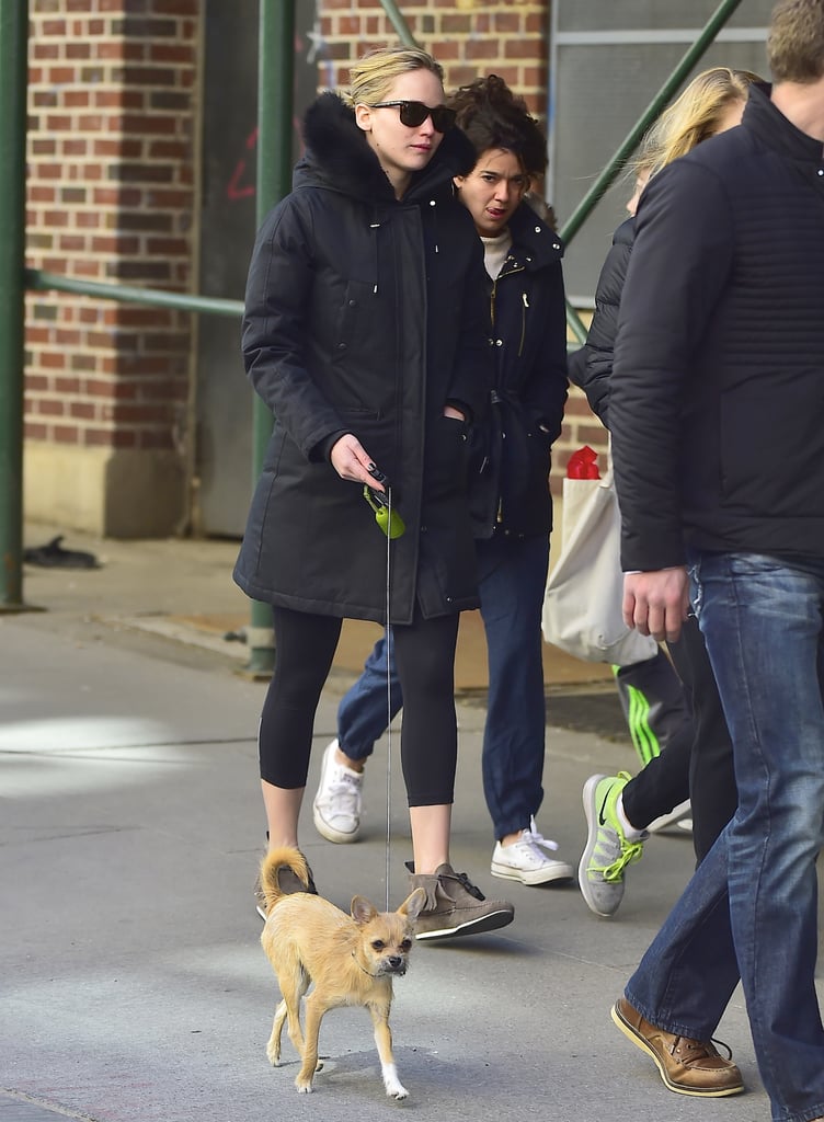 Jennifer Lawrence With Dog and Bodyguard in NYC | Pictures