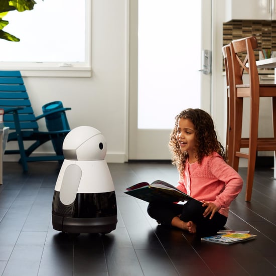 Smart Home Robot