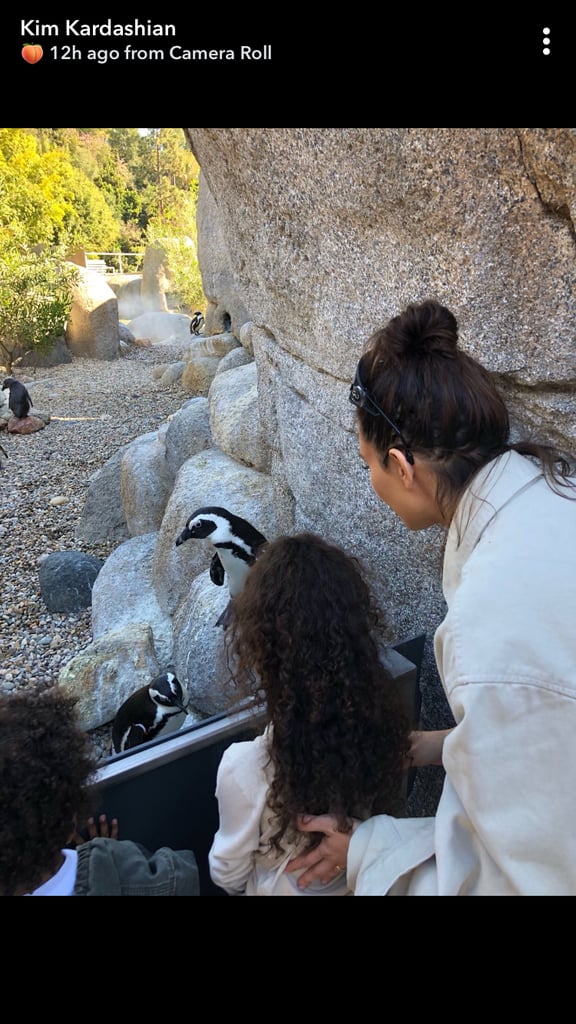 Kim Kardashian and Kanye West's Kids Steal the Show During Their Family Trip to the Zoo