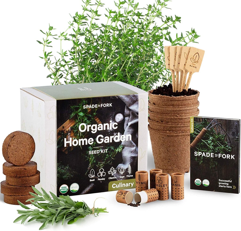 Indoor Herb Garden Starter Kit