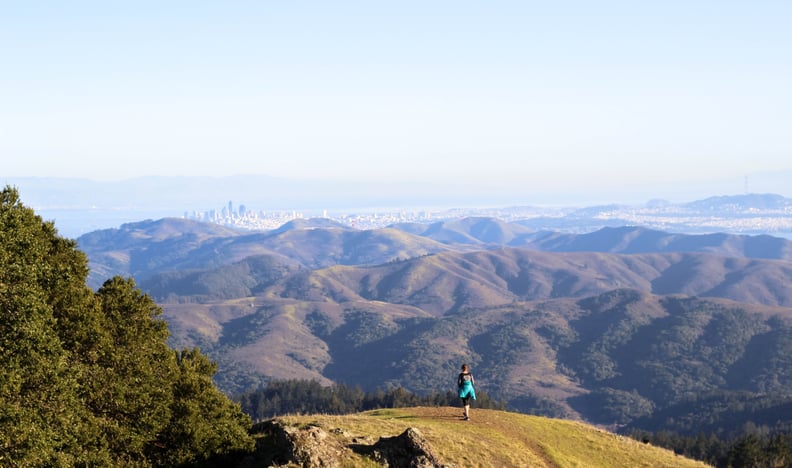 Mount Tamalpais