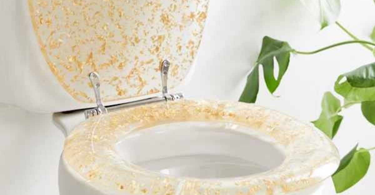 Gold Glitter Toilet Seats From Urban Outfitters POPSUGAR Home