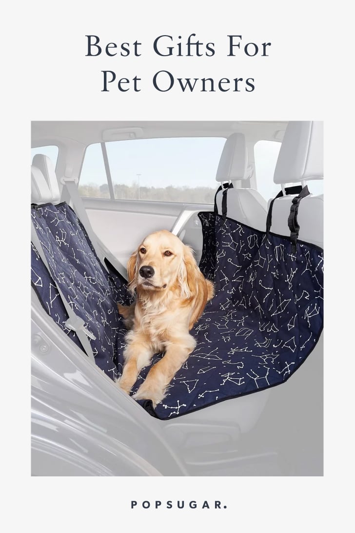 Best Products For Pet Owners 2019 POPSUGAR Family