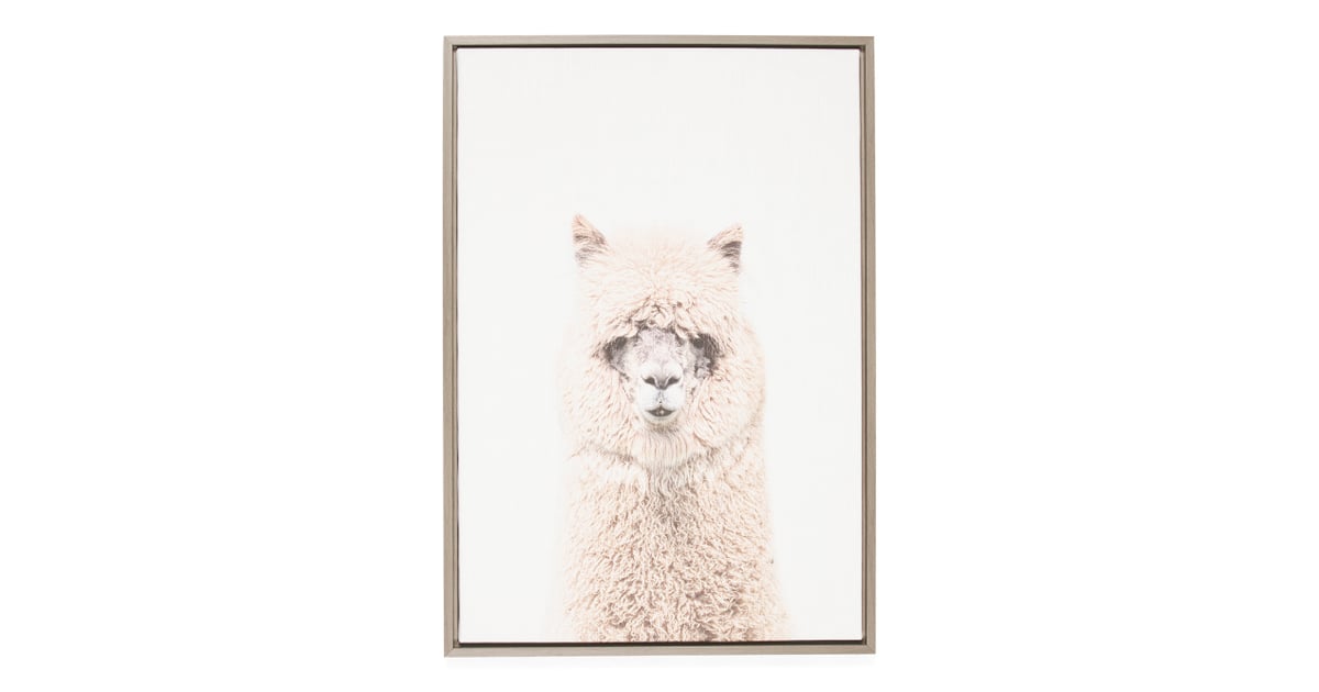 Alpaca Print Framed Canvas Wall Art Best Home Decor From TJ Maxx 2019