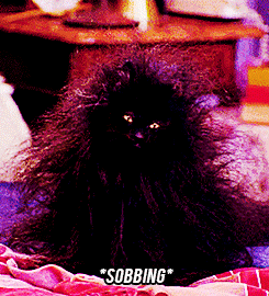 Sabrina, the Teenage Witch Salem GIFs | PS Entertainment