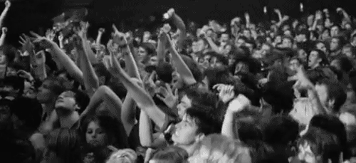 You-plan-going-tons-outdoor-concerts.gif