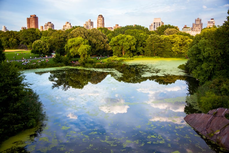 Walk or hike through a park.