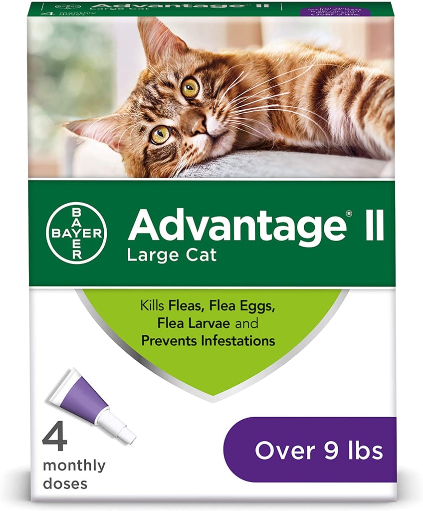 Advantage 4-Dose Flea Prevention For Large Cats 9 Pounds and Over