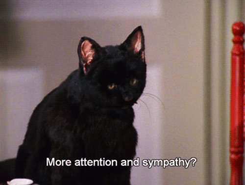 Sabrina, the Teenage Witch Salem GIFs | PS Entertainment