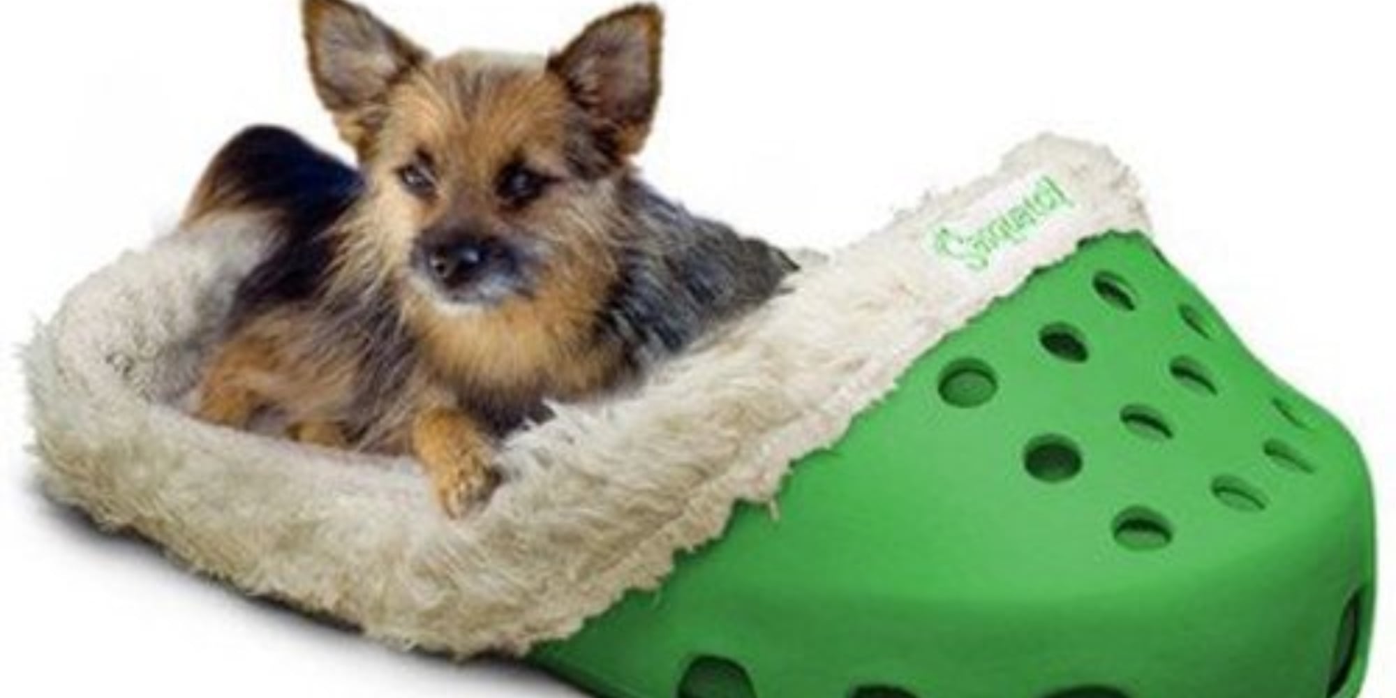 Crocs for 2025 pets