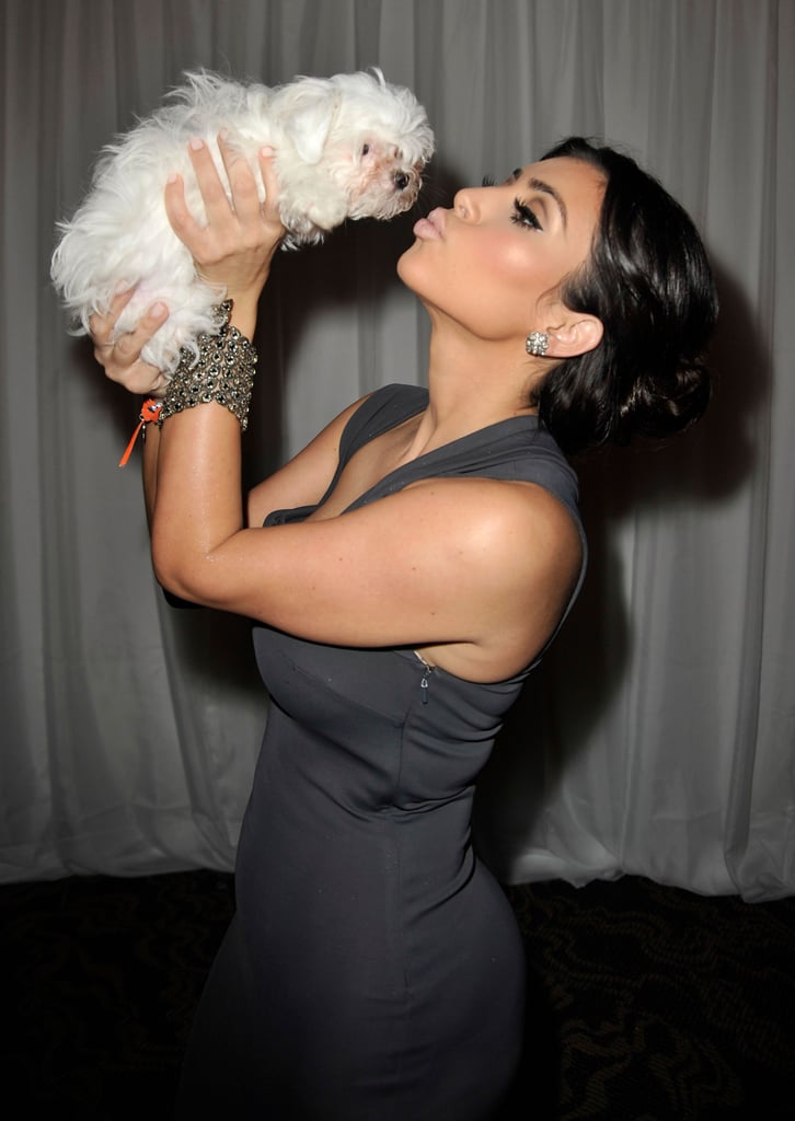 Kim cuddled with a sweet puppy at the Race to Erase MS event in LA in May 2009.