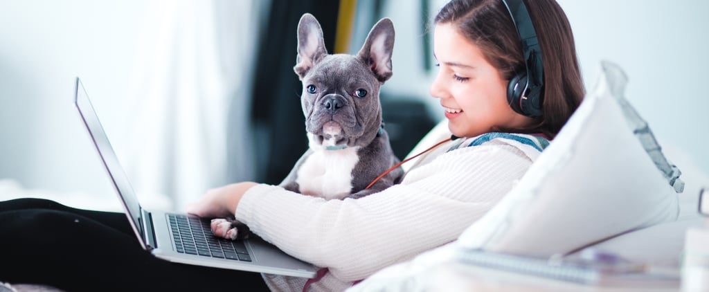 What You Never Knew About Procrastination and How to Cure It