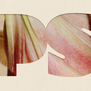 Introducing Popsugar’s 2025 Feel-Good Awards: 25 Winners, Handpicked by Our Editors