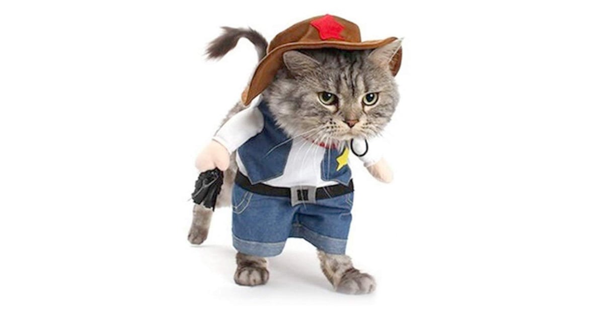 cat in cowboy costume