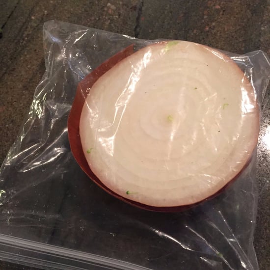 Half Onion in a Bag Twitter Account