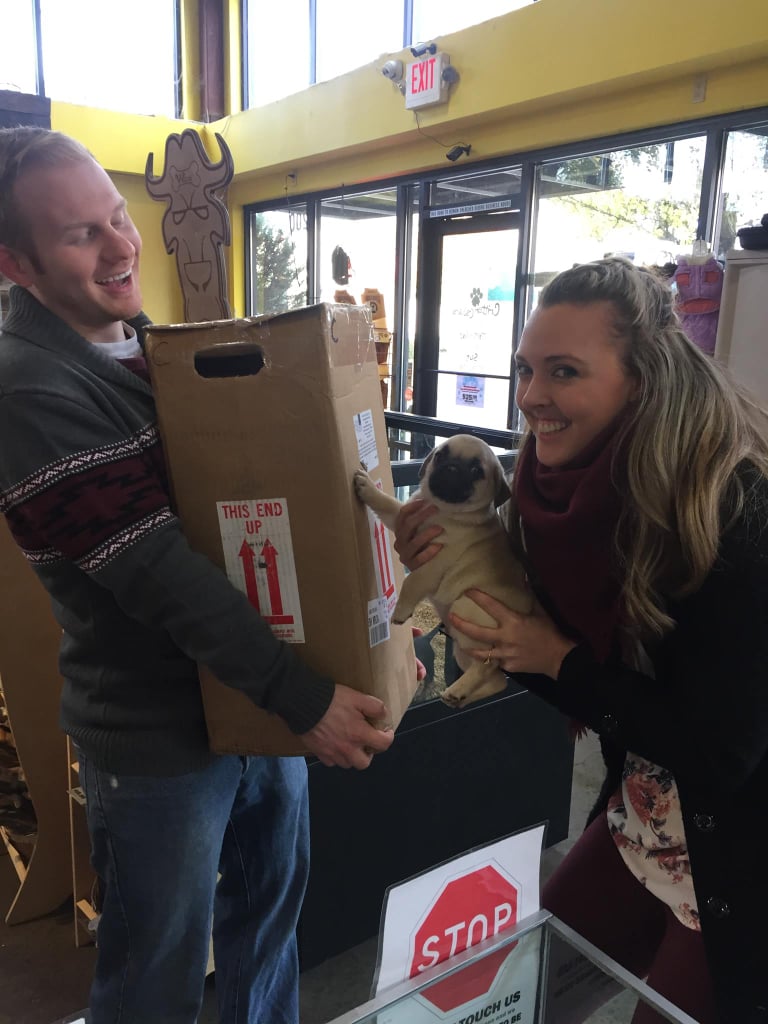 Couple Takes a Box of Embryos on an Adventure