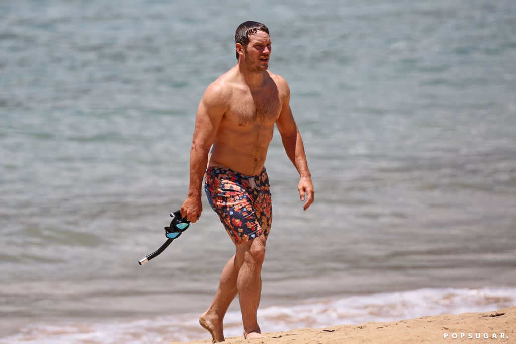 Chris Pratt could be shirtless in a garage and it would still be a holiday, making his Hawaiian respite look more like a fan's fantasy.