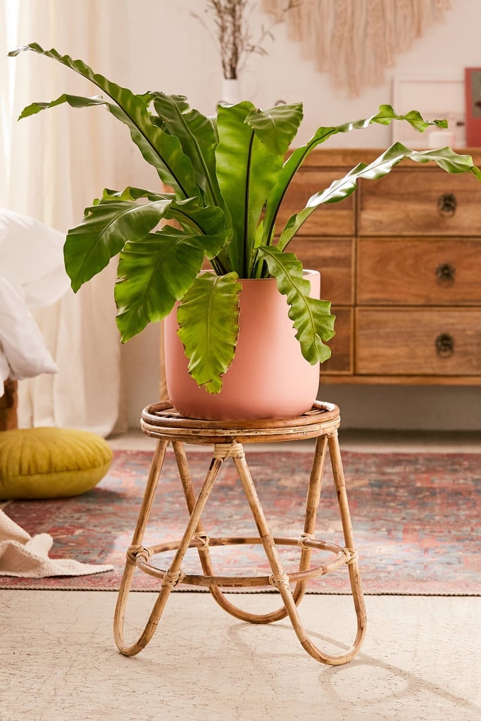 Rattan Plant Stands