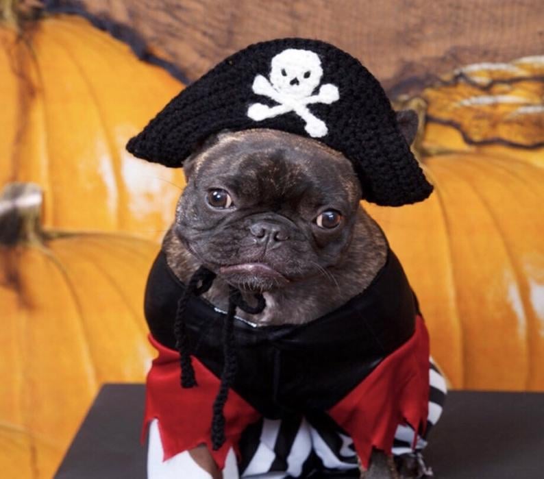 Pirate Dog Hat, Dog Halloween Costume