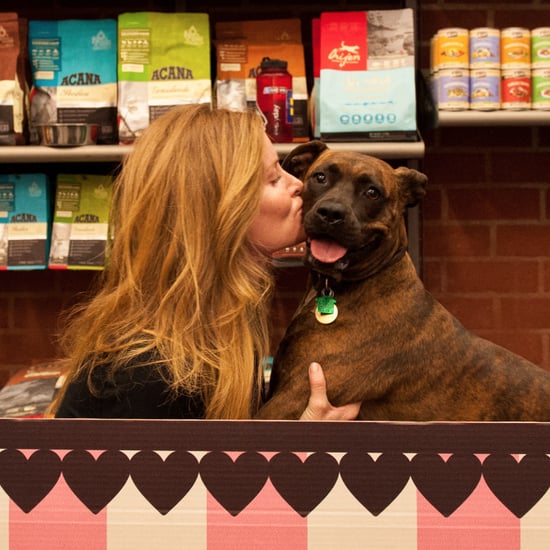 Dog Kissing Booth