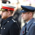 Harry and William's Procession Order at Philip's Funeral Isn't Meant to Send a Signal