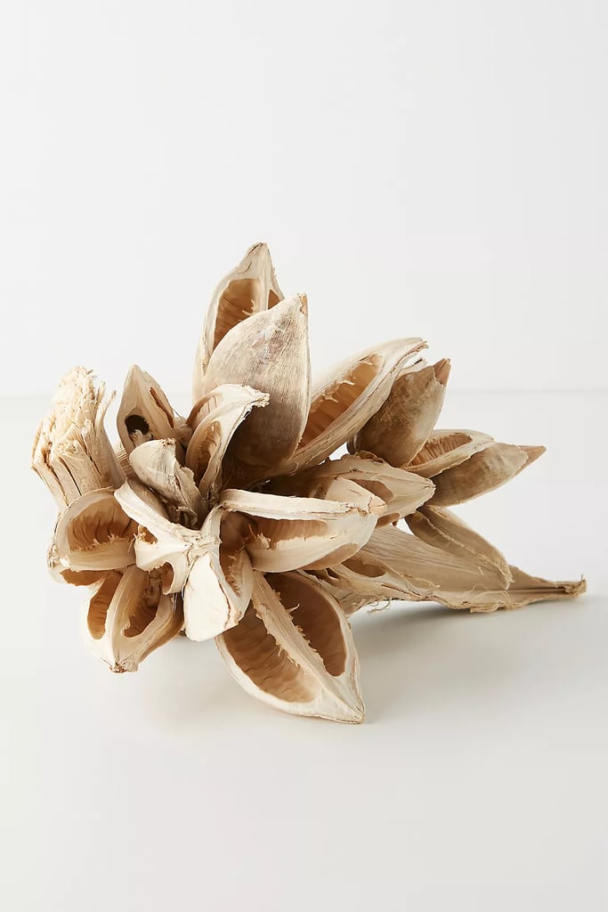 A Decorative Accent: Bleached Dried Star Anise Pod