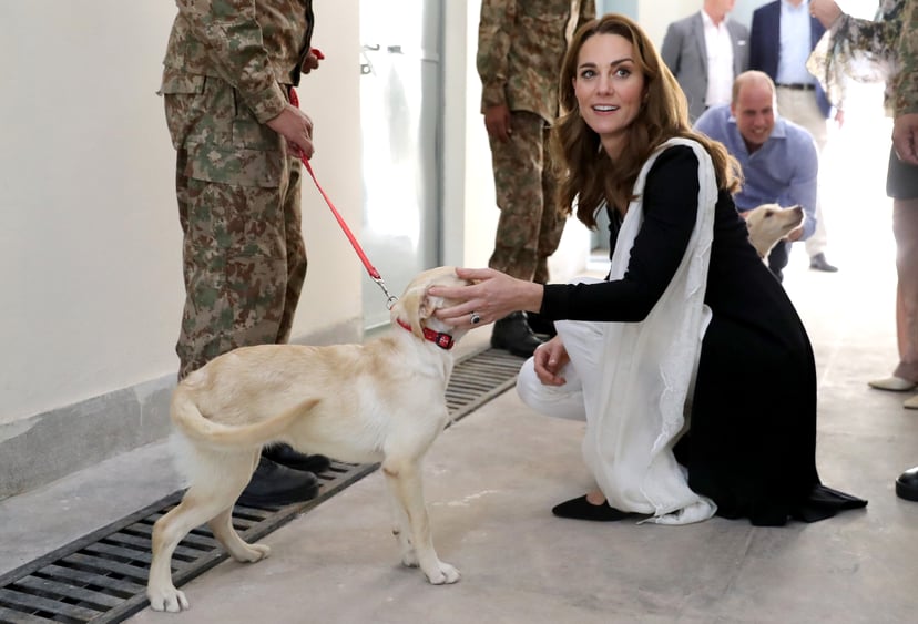 ISLAMABAD, PAKISTAN - OCTOBER 18:  Catherine, Duchess of Cambridge with golden labrador puppies Salto and Sky as she visits an Army Canine Centre with Prince William, Duke of Cambridge, where the UK provides support to a programme that trains dogs to iden