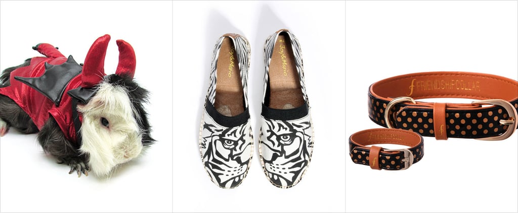 Pets Must Haves | October 2015