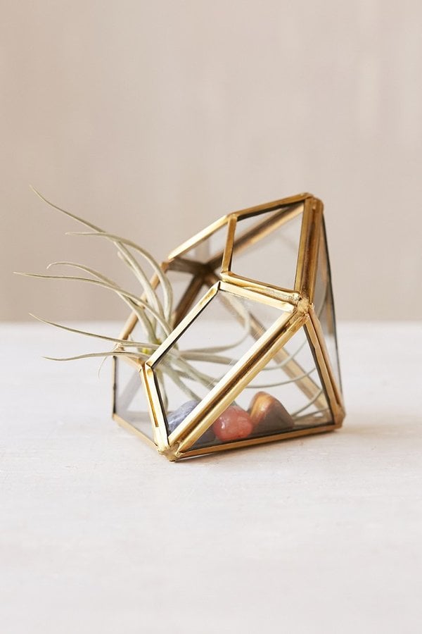 Mini Geo Terrarium ($18)