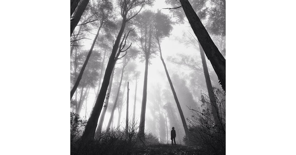 Unusual Perspective | Photo Challenge 2014 | POPSUGAR Tech Photo 10