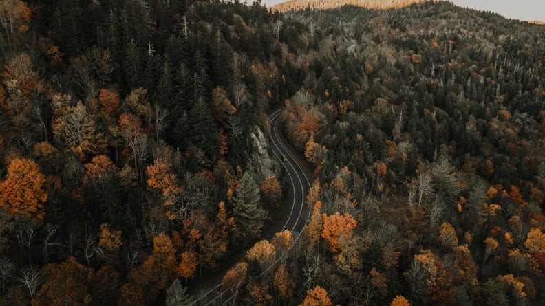 Blue Ridge Parkway, VA to NC