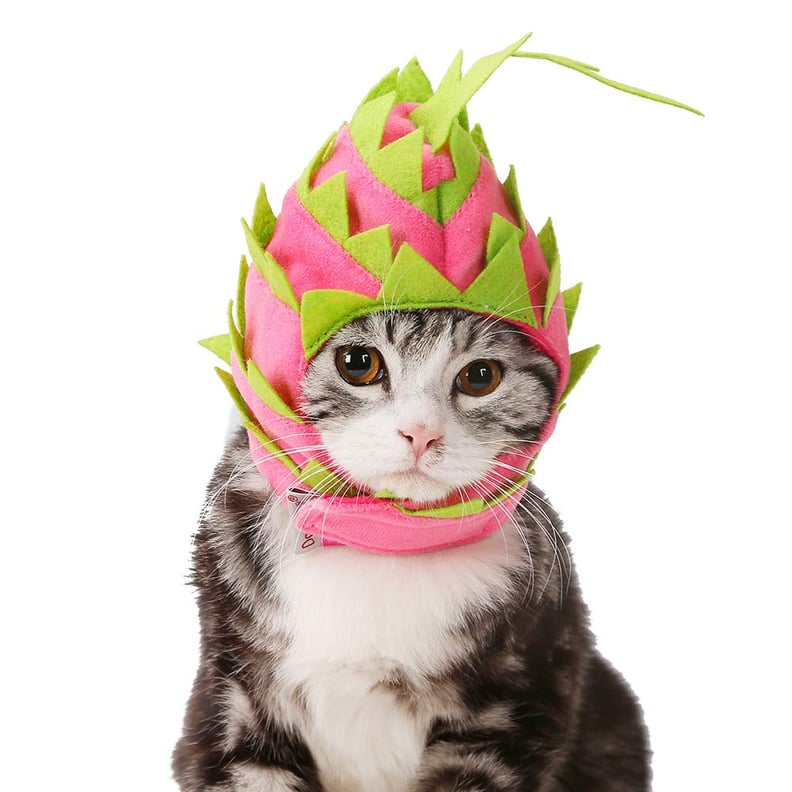 Pitaya Cat Hat