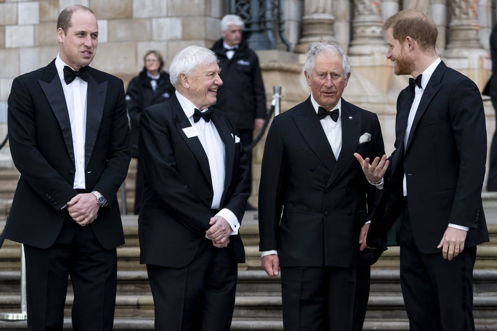 Harry, William, and Charles at Our Planet Premiere 2019