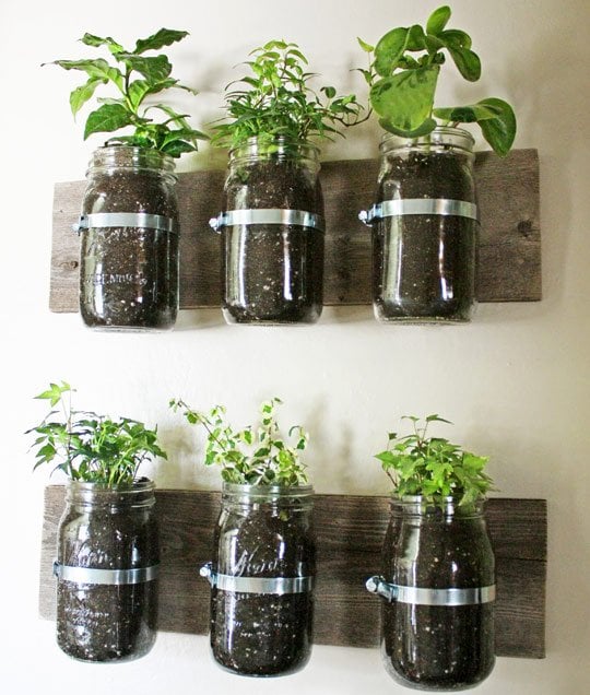 DIY Herb Garden