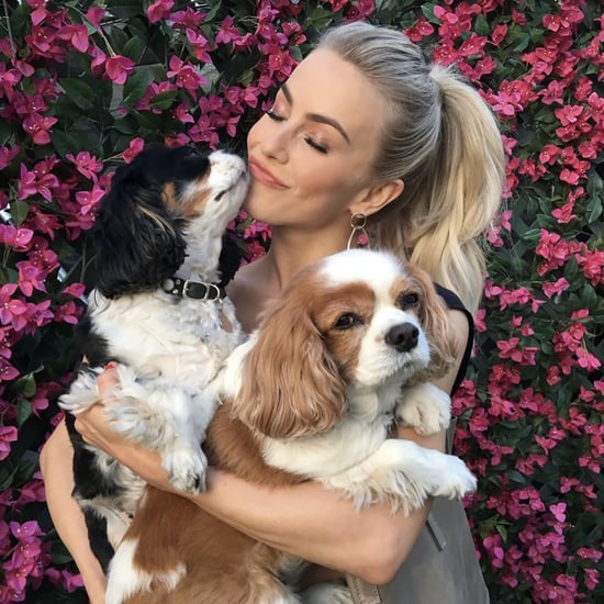 Julianne Hough Mourns the Deaths of Dogs Lexi and Harley