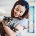 From Siamese to Bengals, This Is Your Cat Breed According to Your Zodiac Sign