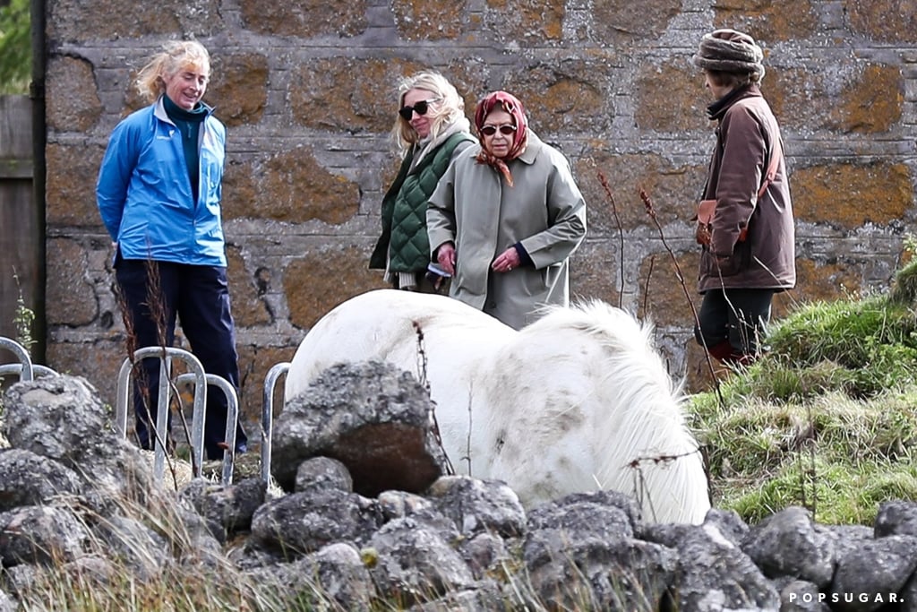 Queen Elizabeth II Feeding Her Horses in Scotland 2018