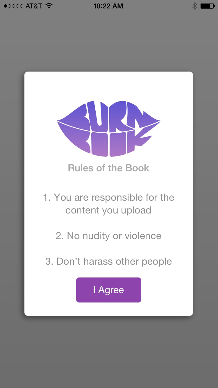 Upon downloading the app, each user must agree to 3 rules: