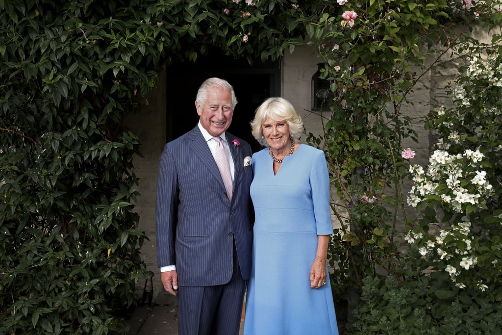Prince Harry and Prince William Didn't Want King Charles III to Marry Camilla Parker Bowles