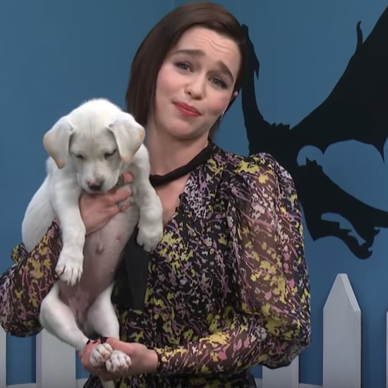 The Late Show's Rescue Dog Rescue Video With Emilia Clarke