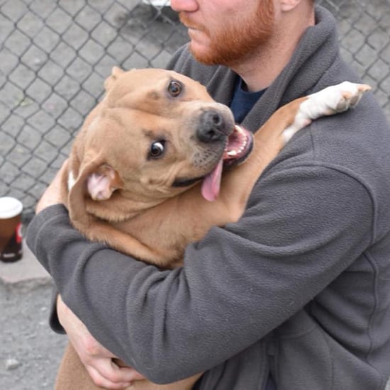 Dog Returned to Shelter For Being Too Nice