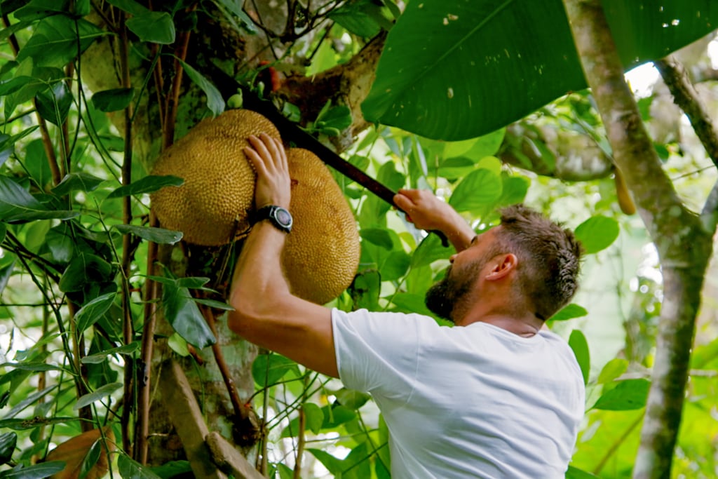 Looking like a hot man in the wild, Efron cuts down some massive fruit for eating.