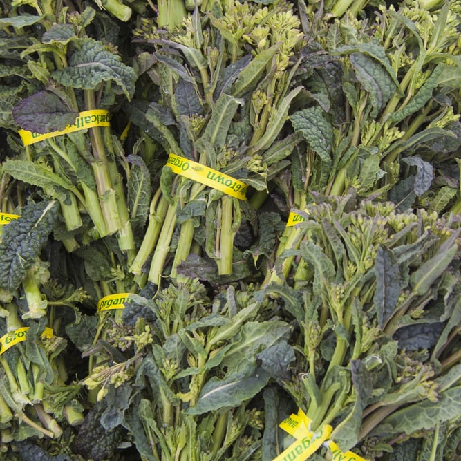 Broccoli Rabe/Broccolini Produce in Season POPSUGAR Food Photo 16