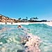 How to Visit Cabo San Lucas on a Budget